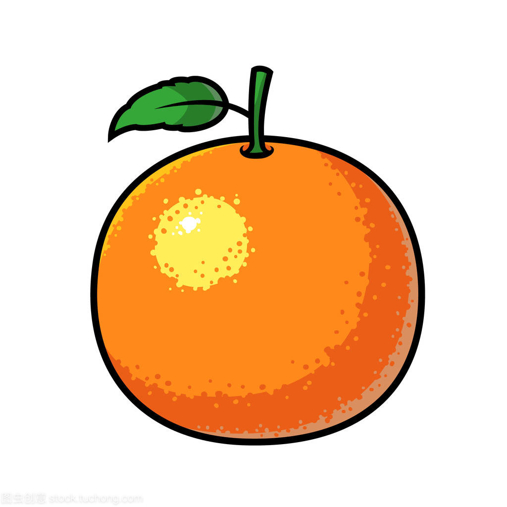 橙色水果矢量图