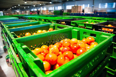 工厂,西红柿,红色,食品加工厂,蔬菜