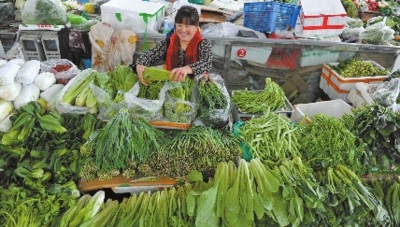 菜价回落,野菜抢“鲜”逆市涨身价_红山关注_红山网